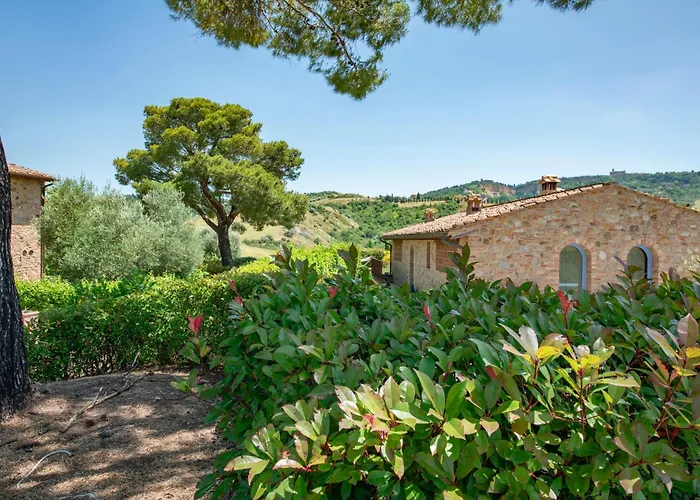 Olive Harmony Вольтерра