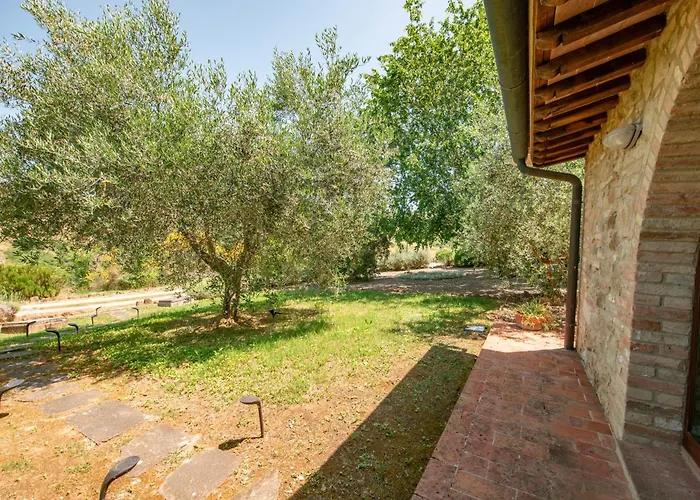 Olive Harmony * Вольтерра