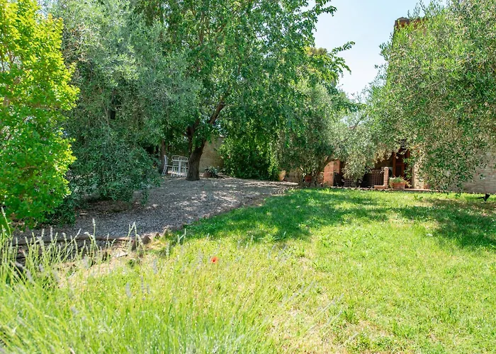 Olive Harmony Апартаменты Вольтерра