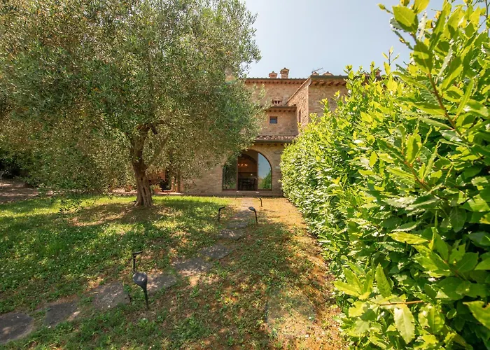 Olive Harmony * Вольтерра