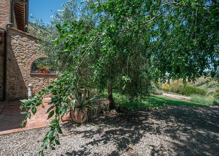 Апартаменты Olive Harmony