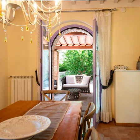 Olive Harmony * Volterra