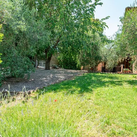 Olive Harmony Apartment Volterra