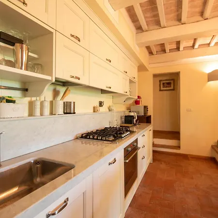 Olive Harmony Volterra