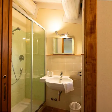 Olive Harmony * فولتيرا