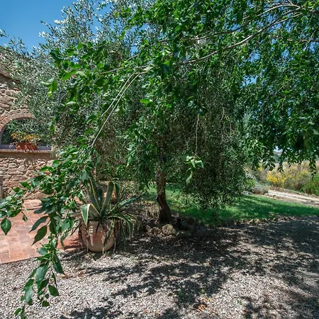 Apartman Olive Harmony