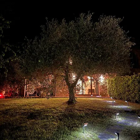 Olive Harmony Apartman *