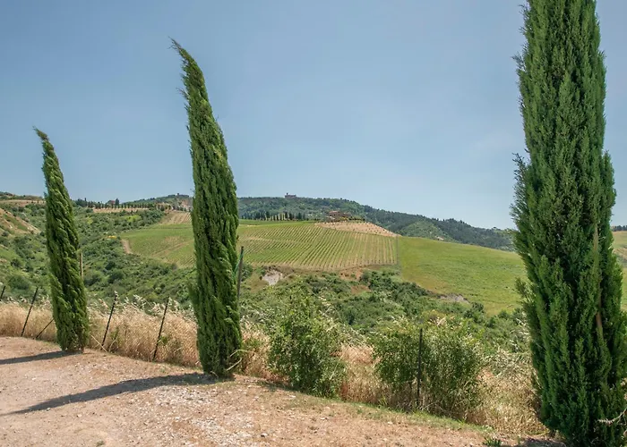 アパート Olive Harmony ヴォルテッラ