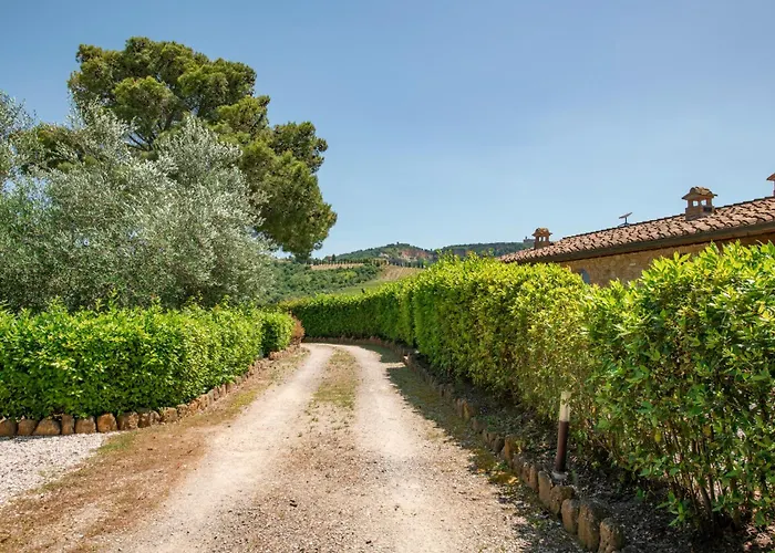 Olive Harmony ヴォルテッラ