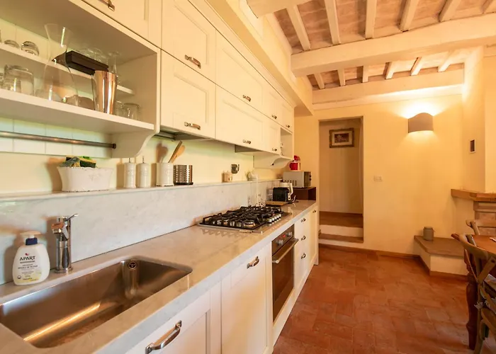 Olive Harmony ヴォルテッラ