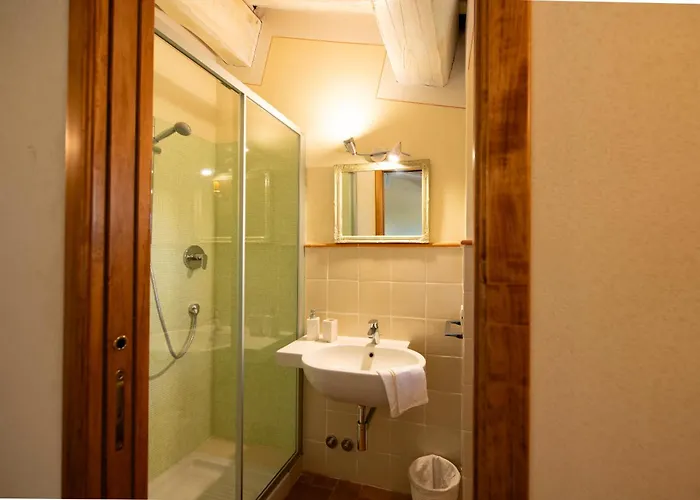 Olive Harmony * ヴォルテッラ