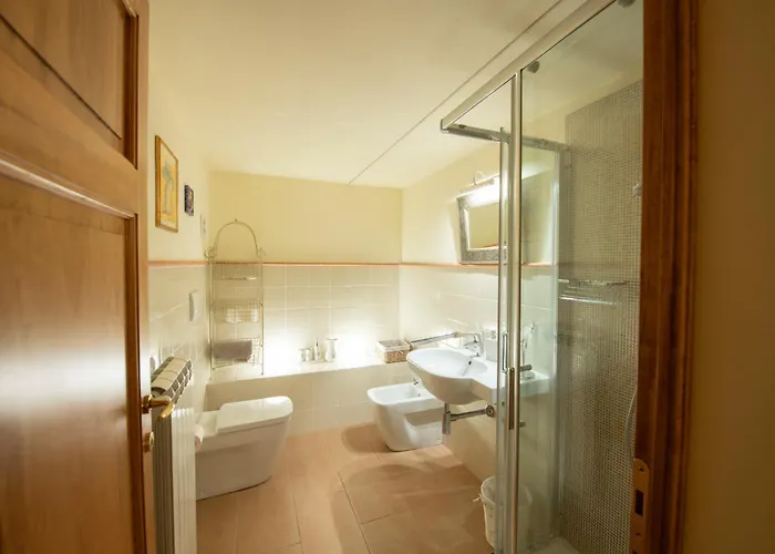 Olive Harmony ヴォルテッラ