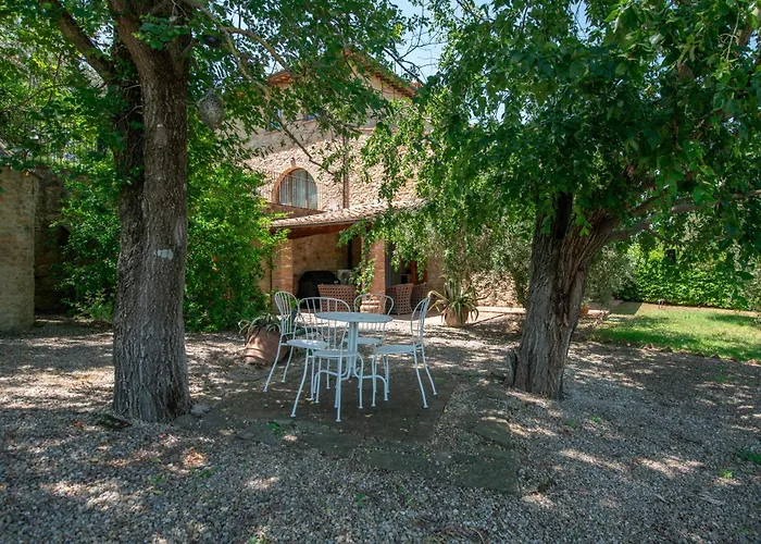 Olive Harmony ヴォルテッラ