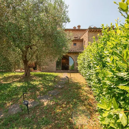 Olive Harmony * Volterra